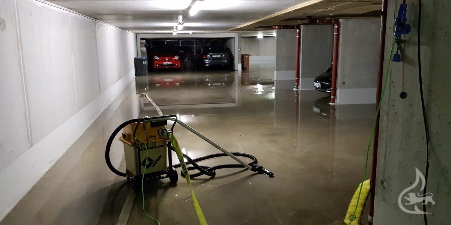 PHOTO-2019-07-28-15-19-02