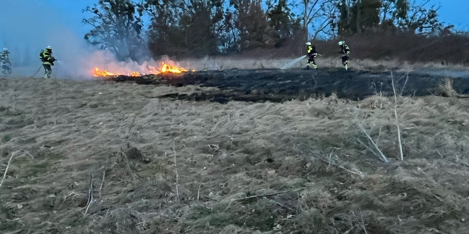 Flächenbrand Hahnweide v. 20.02 (8)