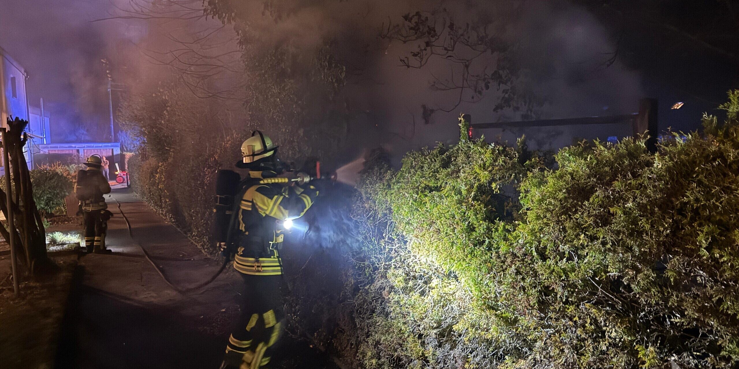 Brennt Baum Cranachweg (4)