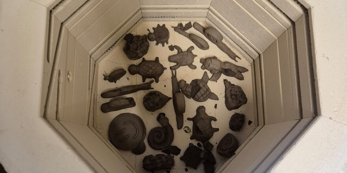 WhatsApp Image 2025-03-30 at 11.23.20