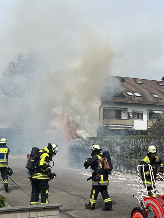 Heckenbrand Wilhelm-Hauff-Straße (3)